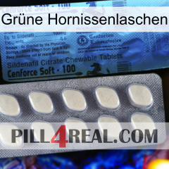 Grüne Hornissenlaschen 34